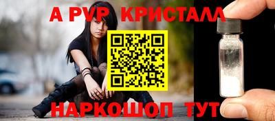 spice Обнинск