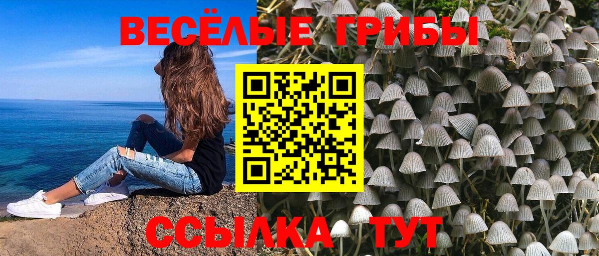 Галлюциногенные грибы Magic Shrooms  Вход с VPN  Ржев 